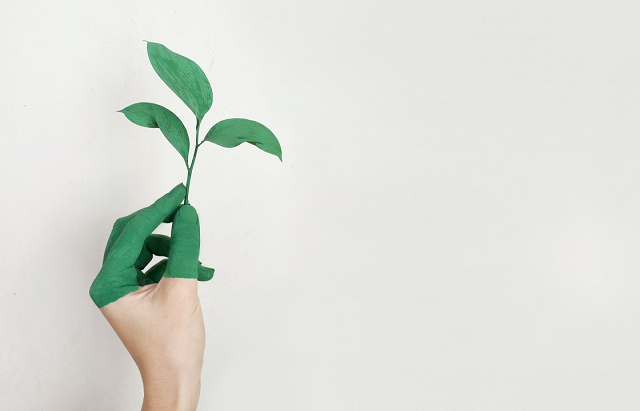 bandeau avec une main peinte en verte tenant une feuille d'arbre